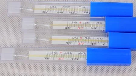 머큐리 병원 임상 온도계 유리 약국 머큐리